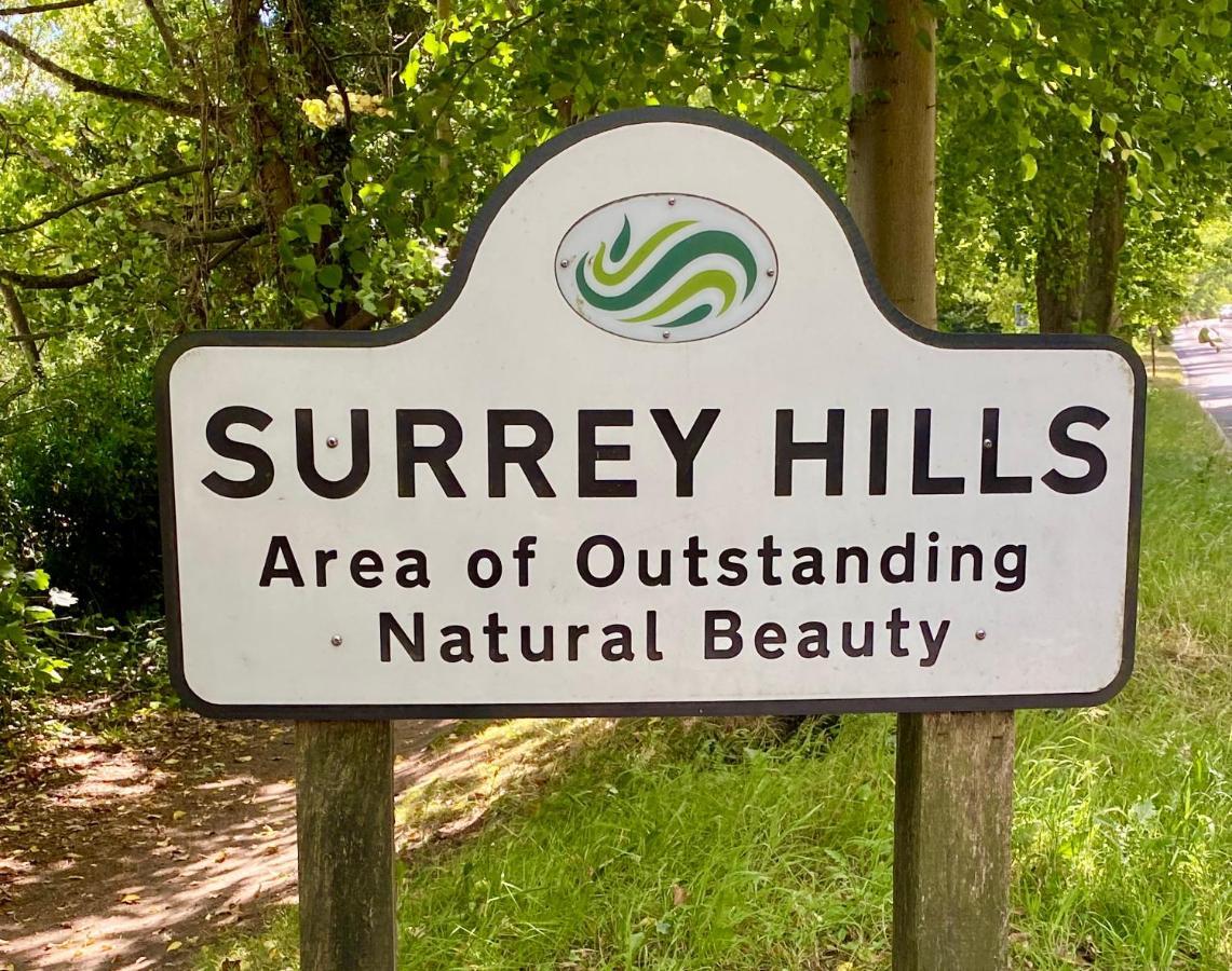 Ranmore Rise Retreat In The Surrey Hills Dorking Dış mekan fotoğraf