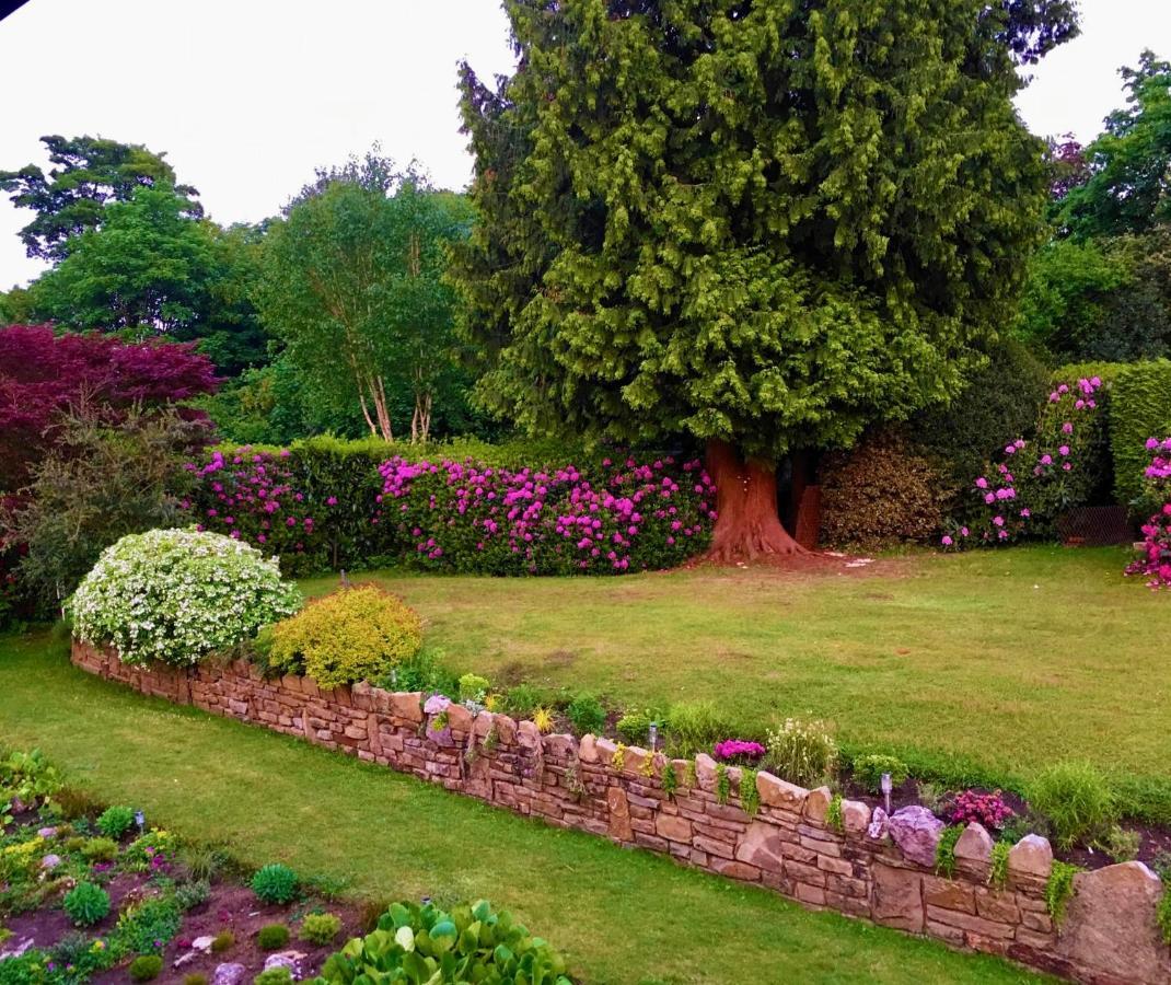 Ranmore Rise Retreat In The Surrey Hills Dorking Dış mekan fotoğraf